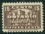 Click here for product details