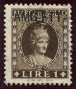 Click here for product details