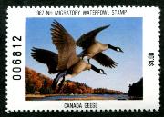 Click here for product details