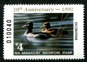 Click here for product details