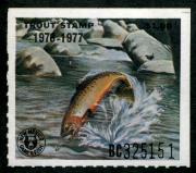 Click here for product details