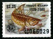 Click here for product details