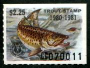 Click here for product details