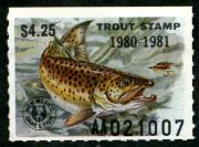 Click here for product details