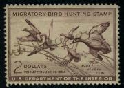 Click here for product details