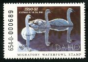 Click here for product details