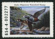 Click here for product details