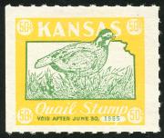 Click here for product details