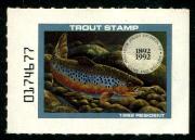 Click here for product details