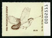 Click here for product details