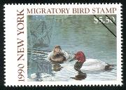 Click here for product details