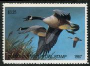 Click here for product details