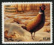 Click here for product details