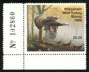 Click here for product details