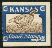 Click here for product details