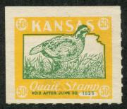 Click here for product details