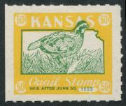 Click here for product details