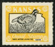 Click here for product details