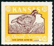 Click here for product details