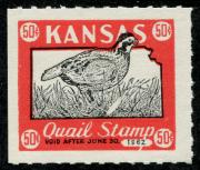 Click here for product details