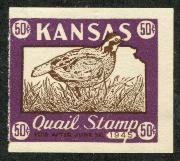 Click here for product details