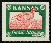 Click here for product details