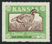 Click here for product details