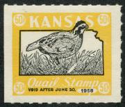 Click here for product details