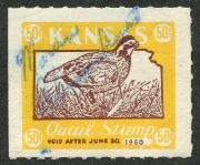 Click here for product details