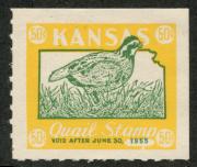 Click here for product details