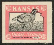 Click here for product details