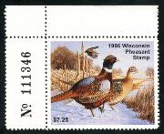 Click here for product details