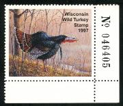 Click here for product details