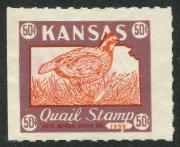 Click here for product details